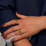 AMIRA Ring